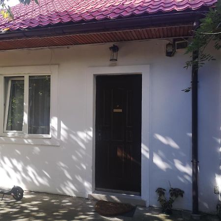 Casa Miron Unirii 3Strada Matei Corvin Apartament Timisoara Exterior foto